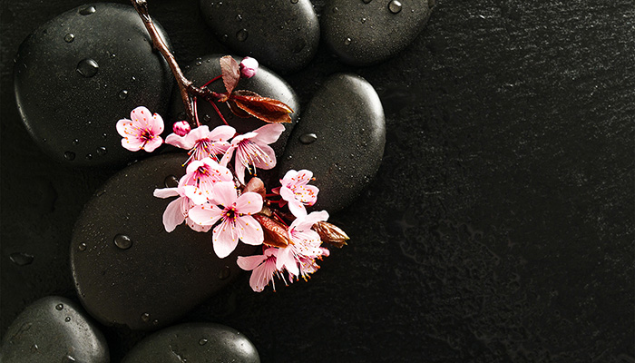 Trattamenti Reiki a distanza